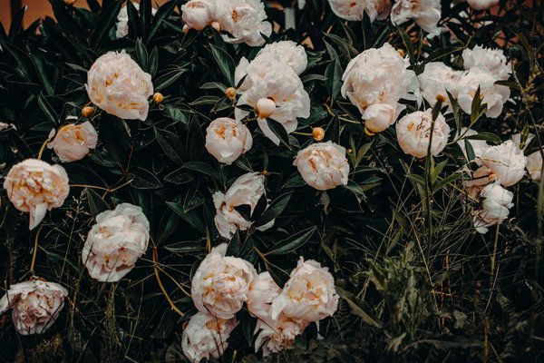 Triangle de pikler : les différentes formes disponibles sur le marché