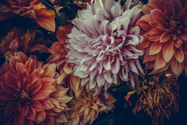 Prix du m² de goudron : combien vous aurez à payer ?