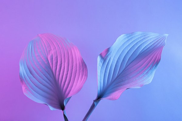 Tendances déco : comment rendre votre salon plus élégant et confortable ?